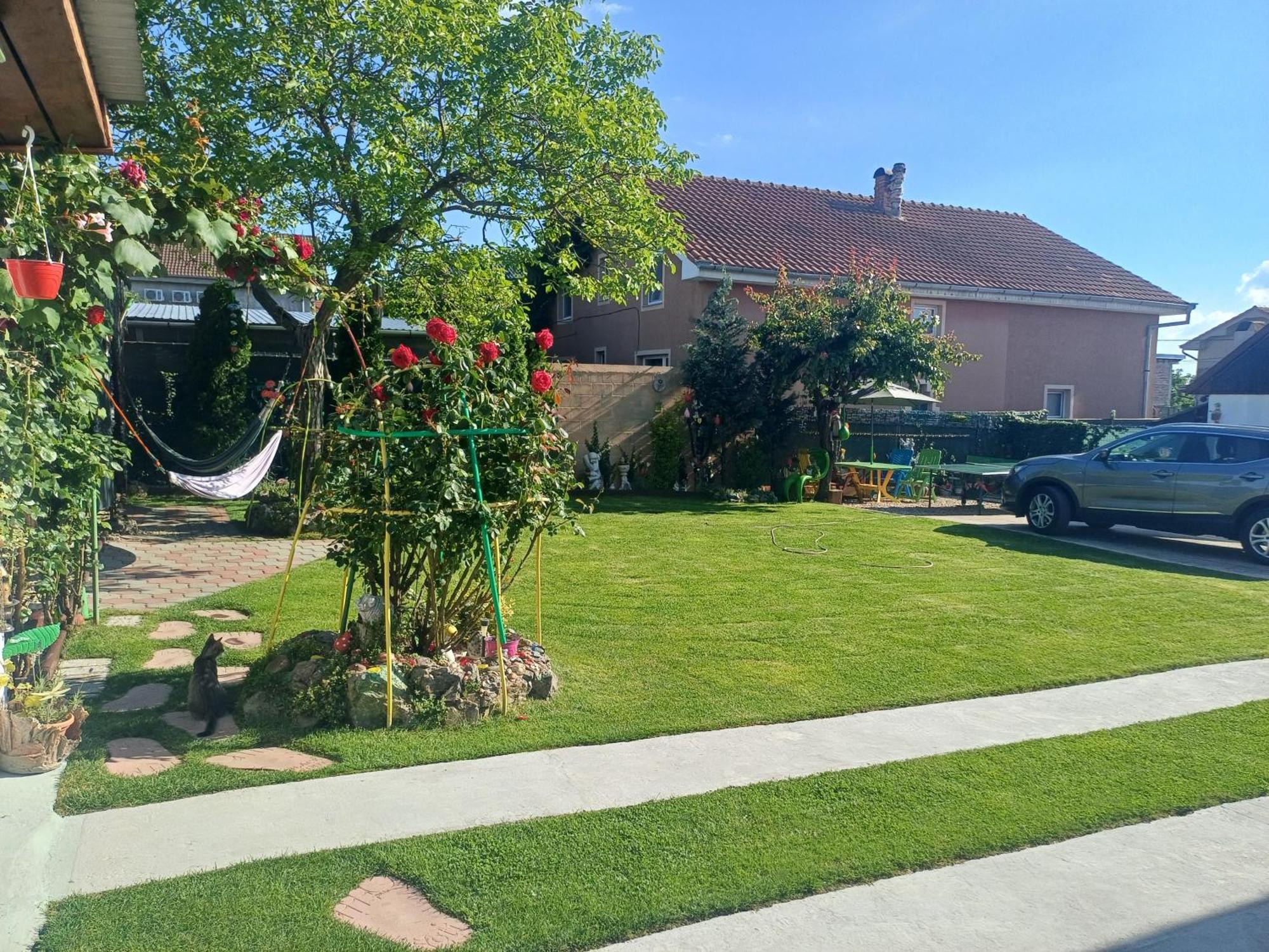 Casa Marinela Hotell Băile Felix Eksteriør bilde
