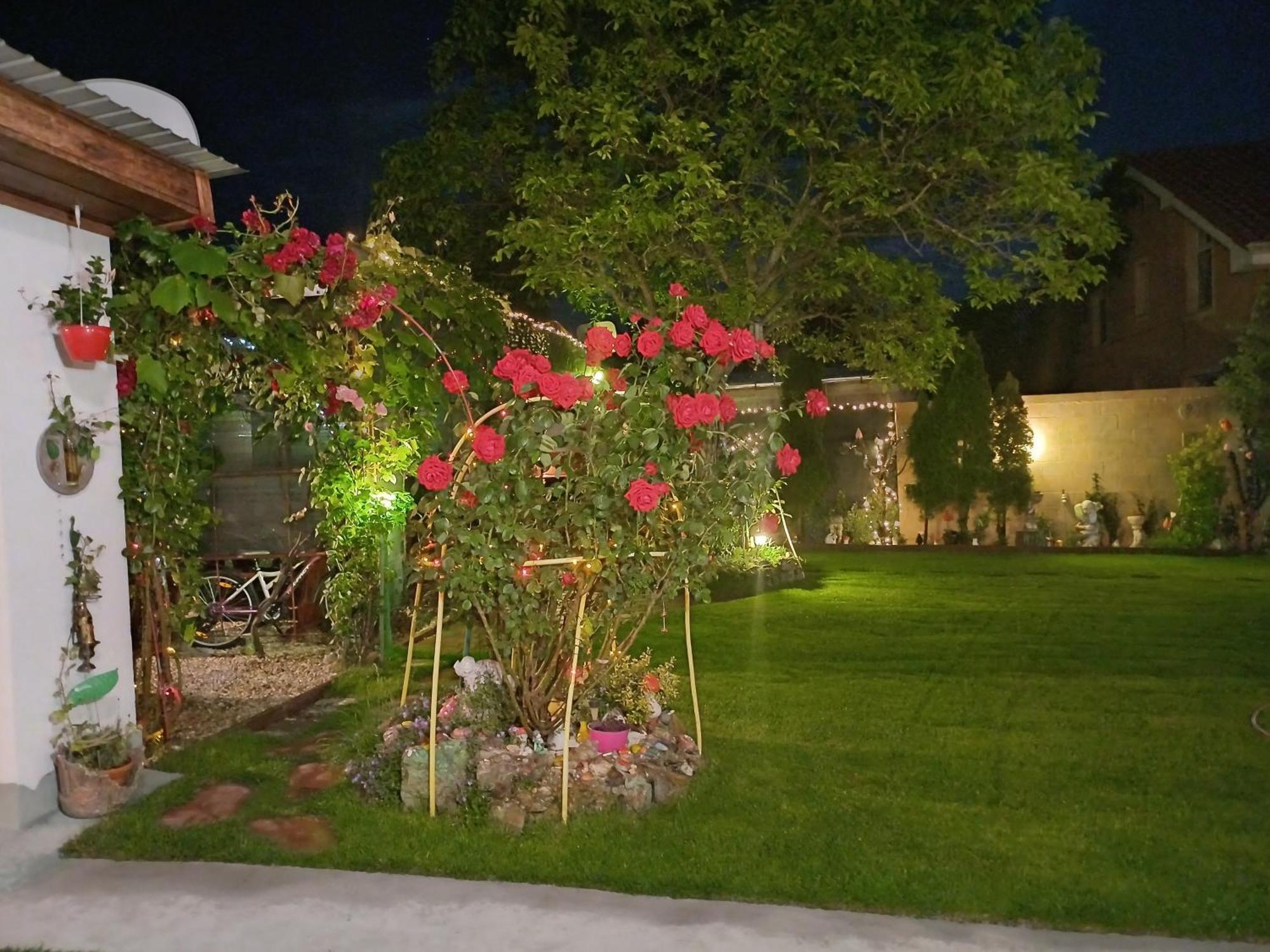 Casa Marinela Hotell Băile Felix Eksteriør bilde